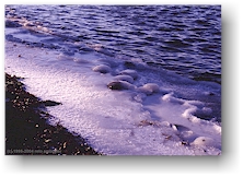 [ snow and ice covered rocks at the shore of charles river ]
